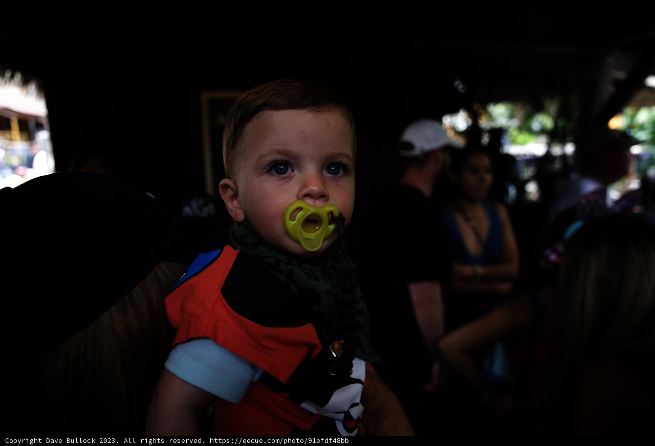 Baby's Magical Day at Disneyland