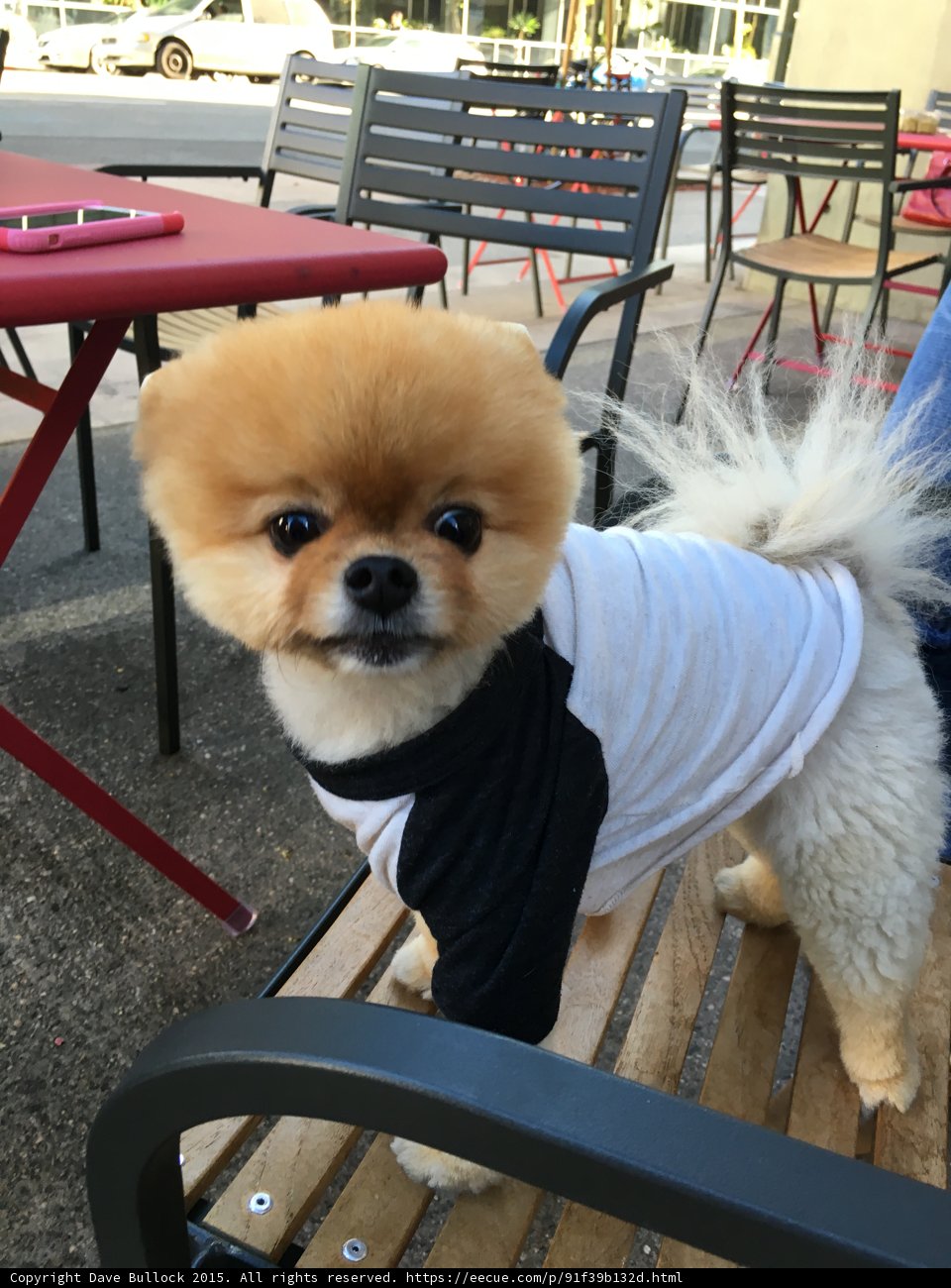 Outdoor Dining LA