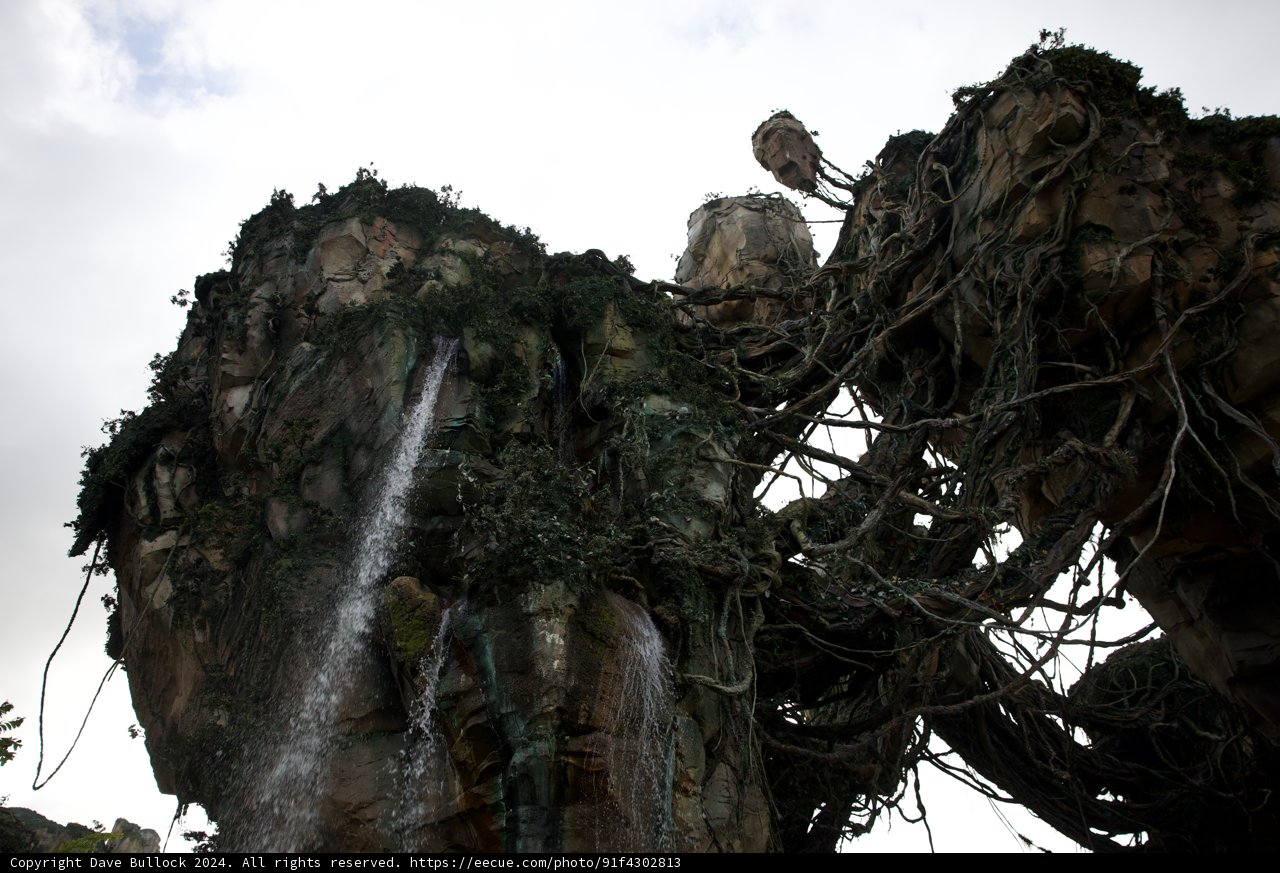 Wilderness Exploration at Disney's Animal Kingdom 2024