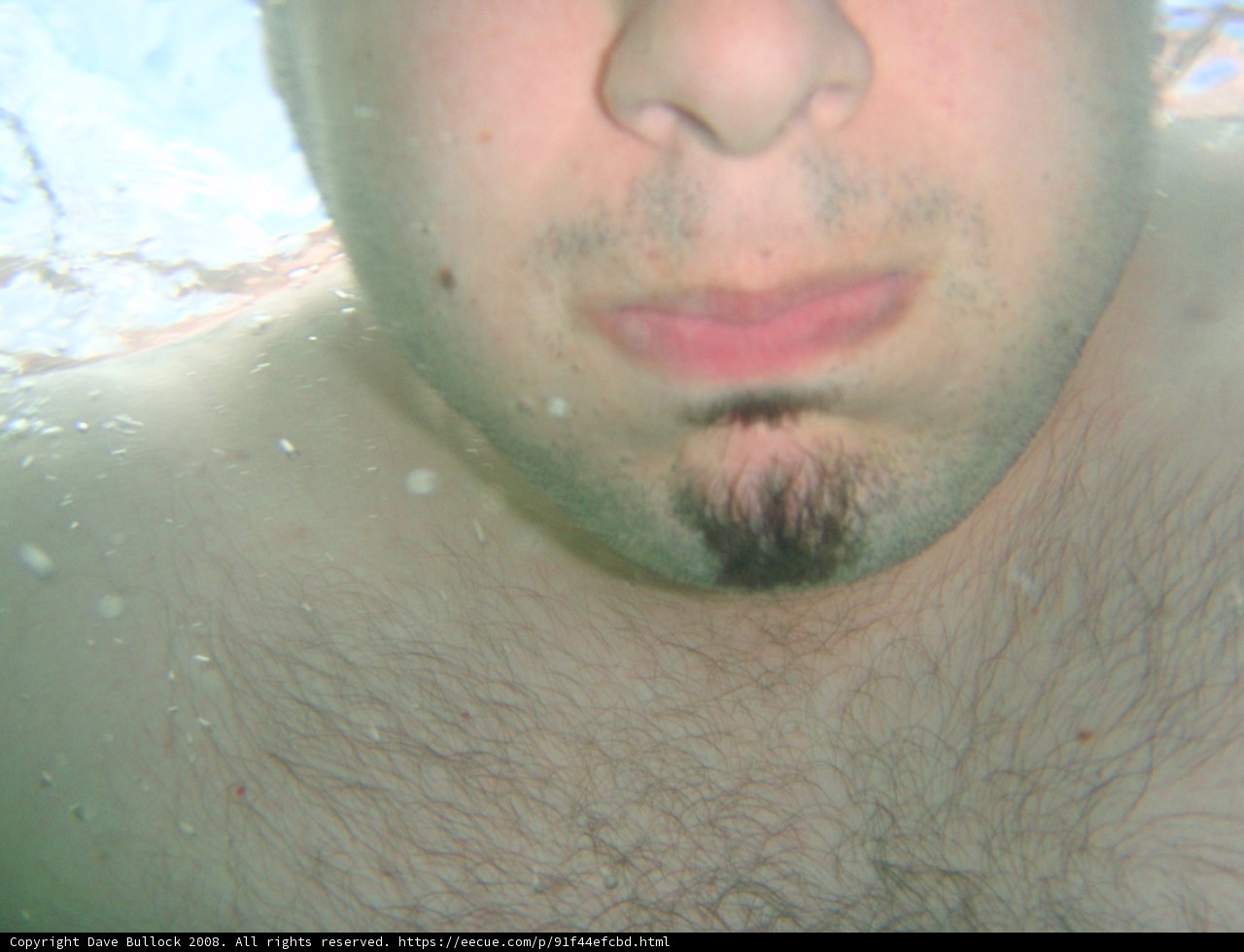 Submerged Serenity