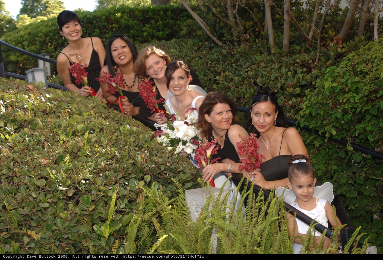 Bridal Party Poses Among Garden Greenery at Wedding