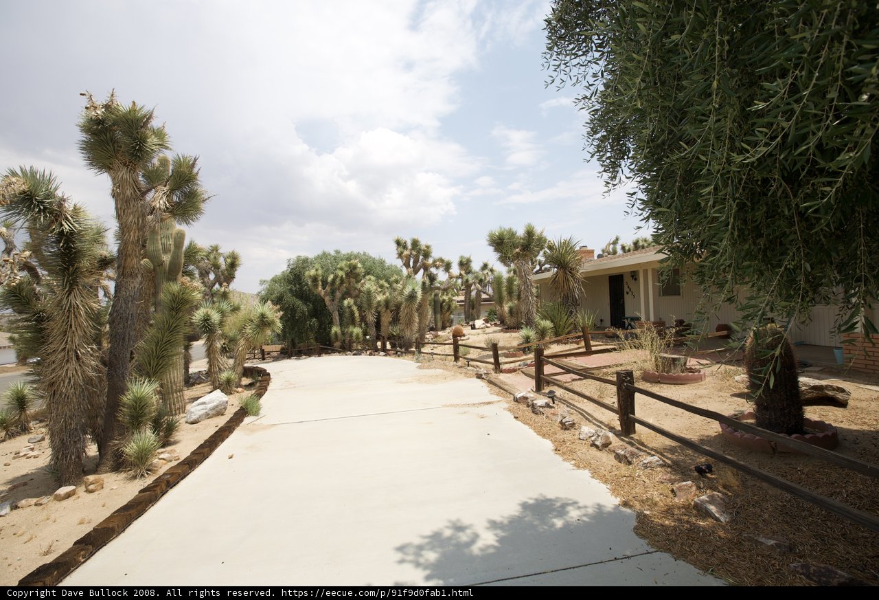 A Summer Walkway in the Garden