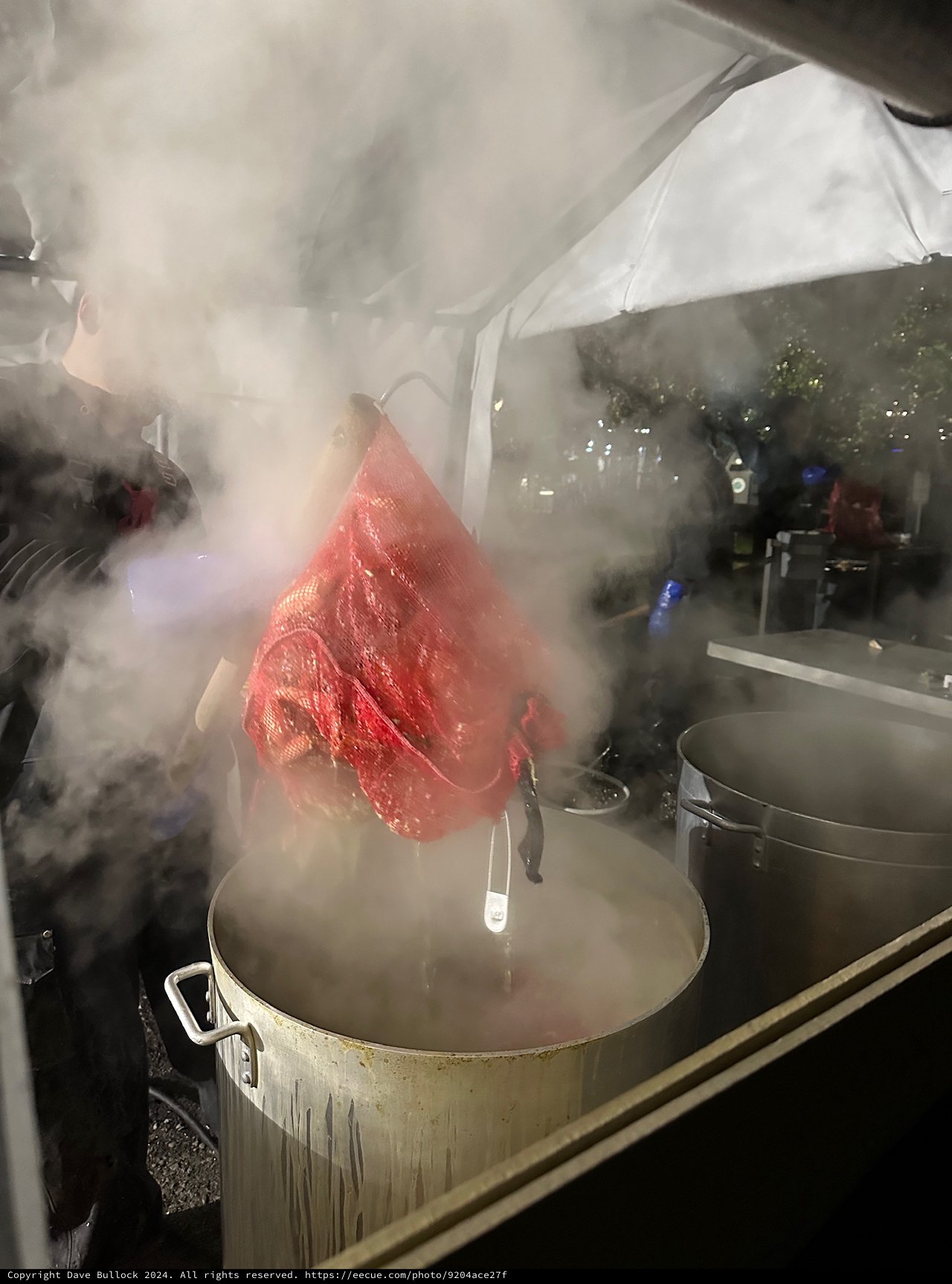 Chef Preparing Fresh Tuna in Steamy Kitchen