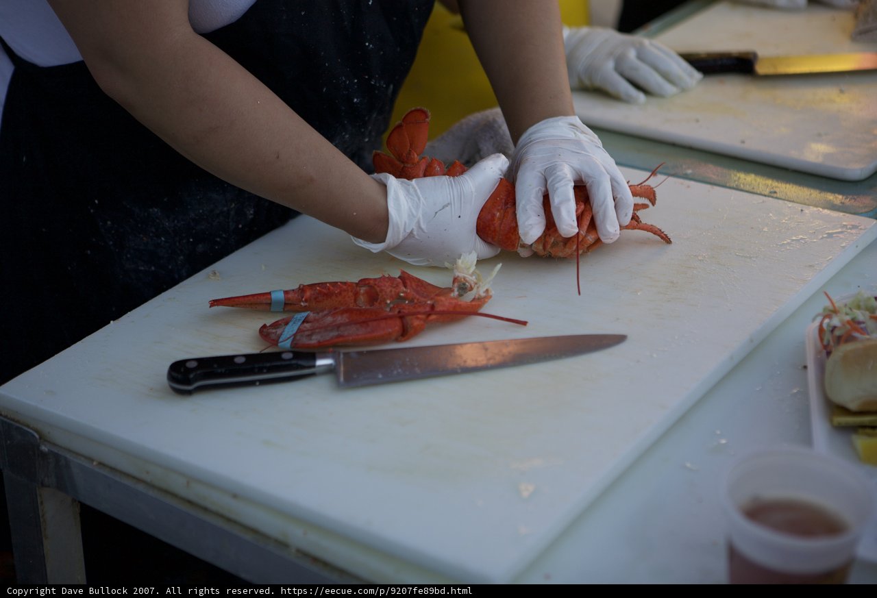 Lobster Preparation