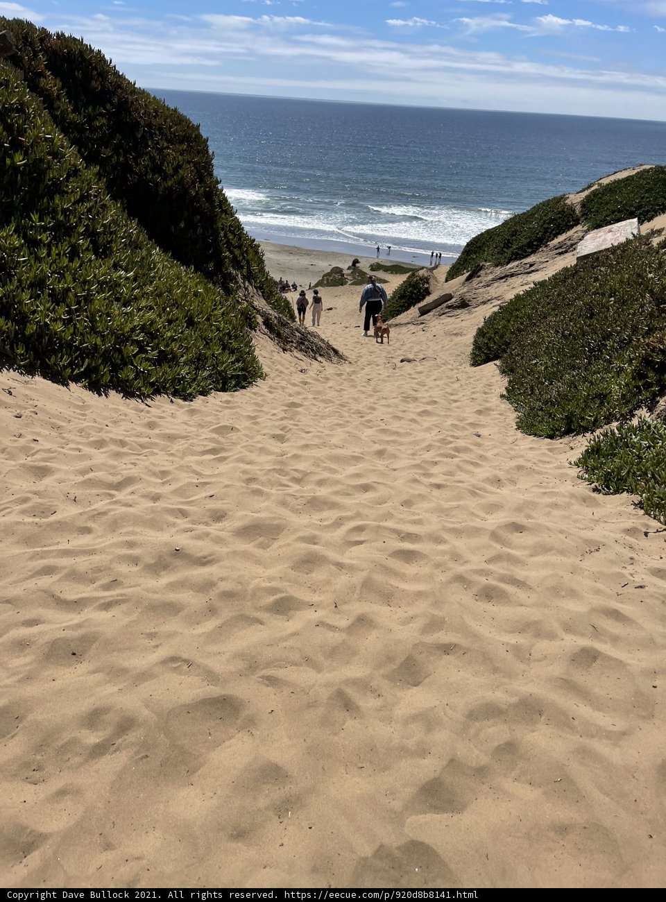 Scaling the Fort Funston Dunes