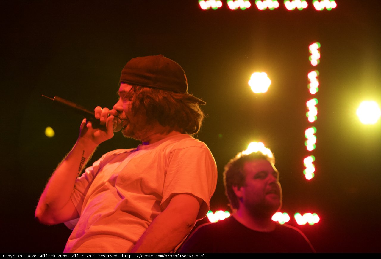 Mike Mitchell Rocks the 2008 Coachella Stage with His Music