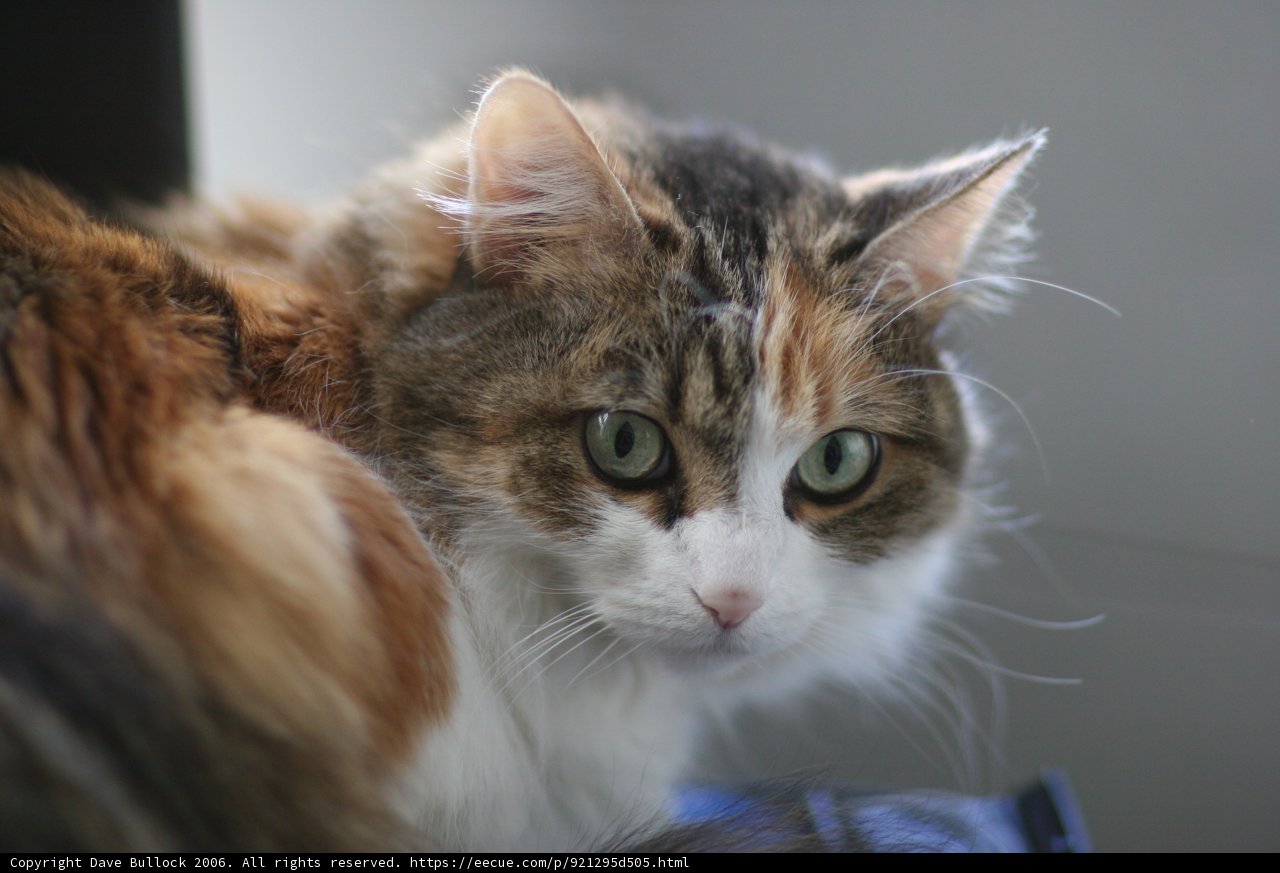 Gazing through the Glass