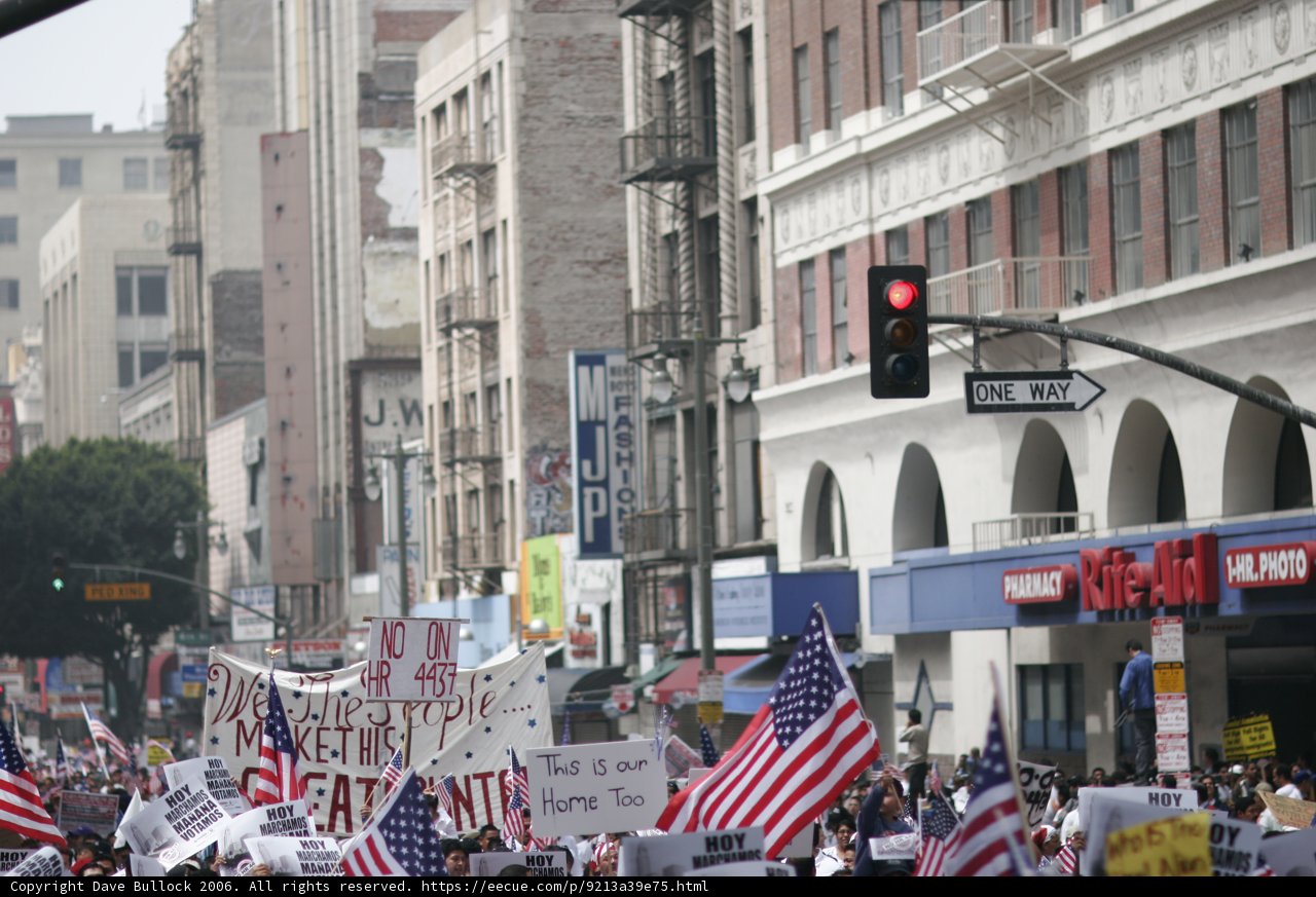 Patriotic Protest in Metropolis