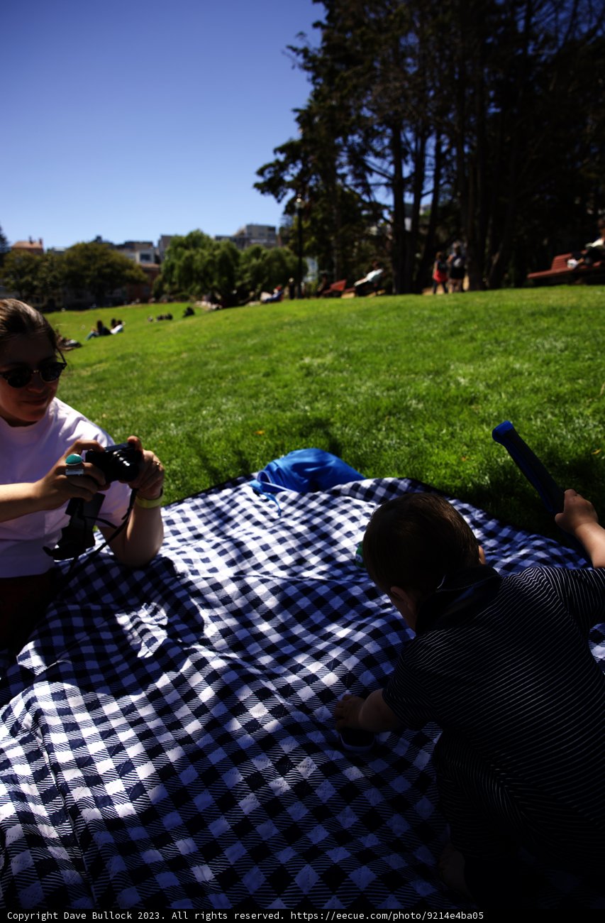 Moments of Connection: A Picnic in Delores Park