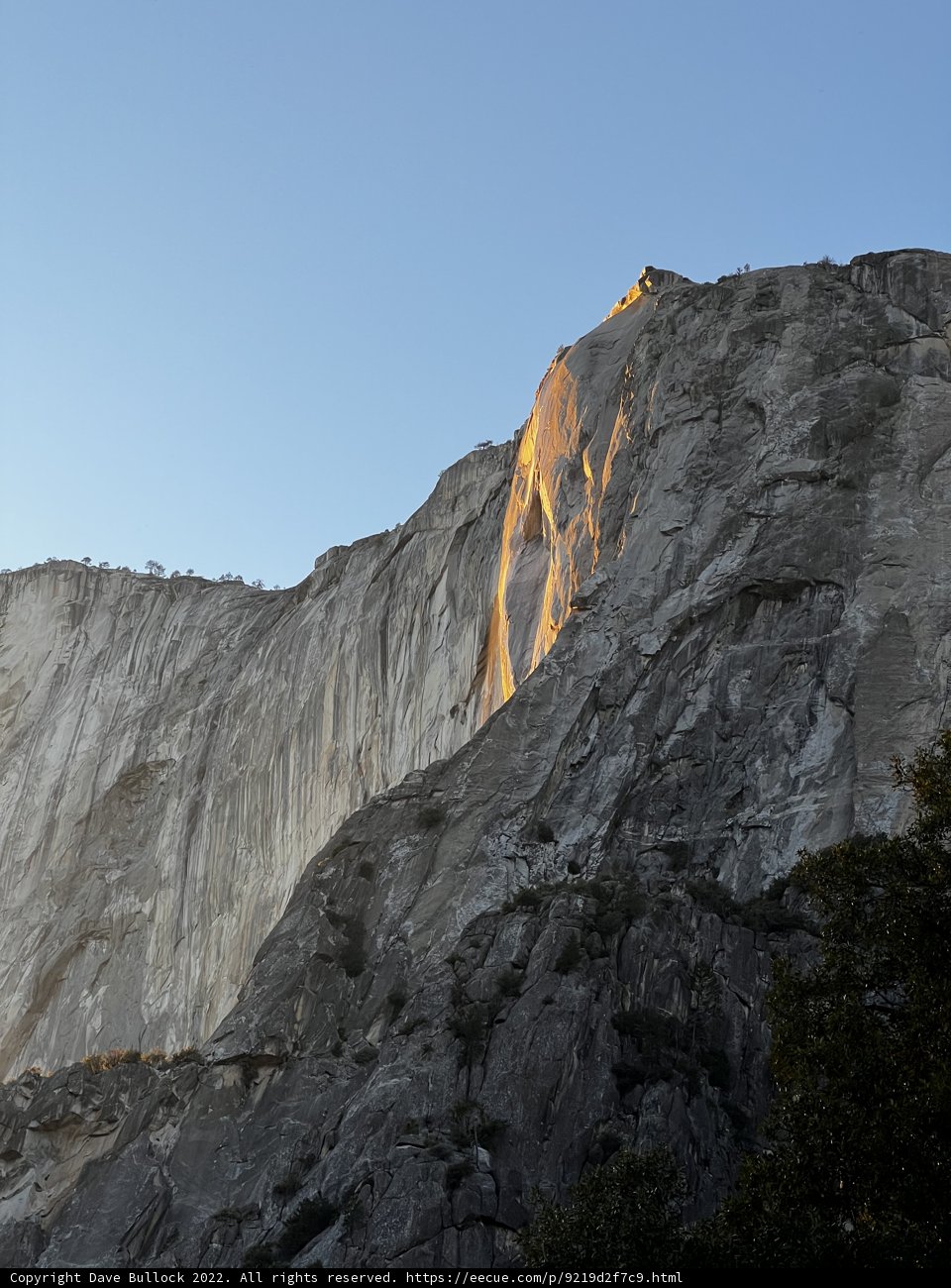 Illuminated Majesty