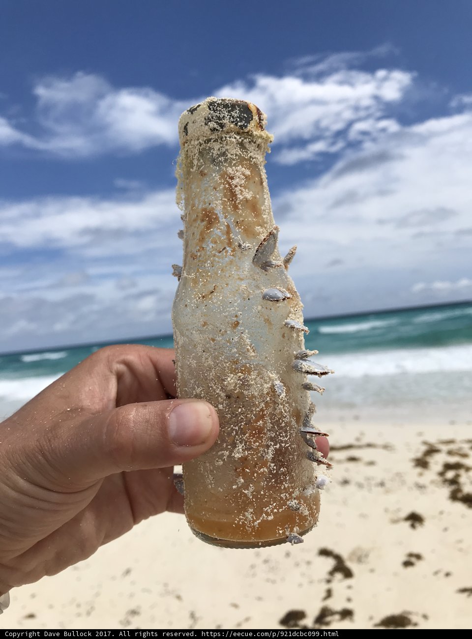 Spiked Beverage on the Beach