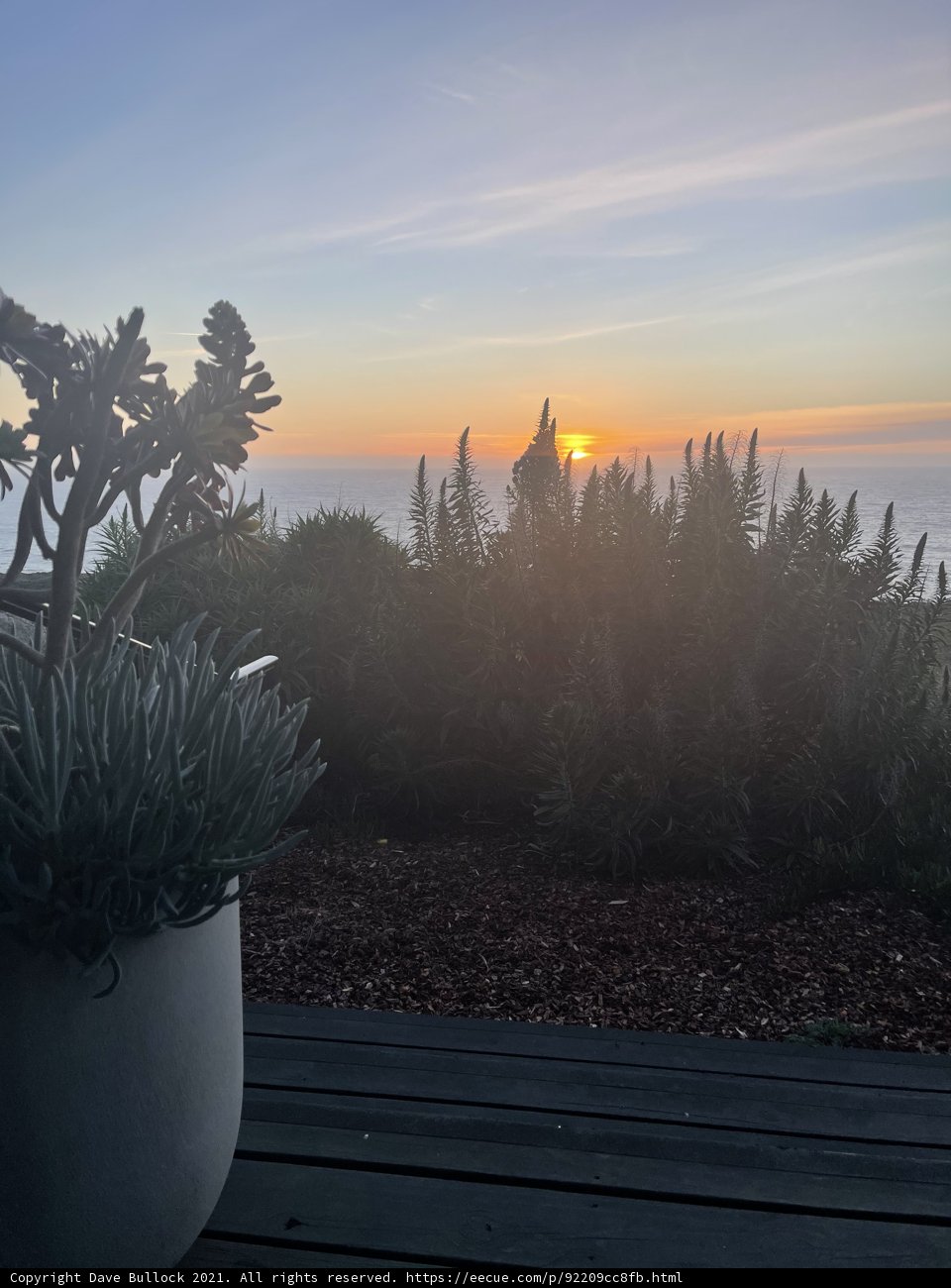 Oceanfront Pottery