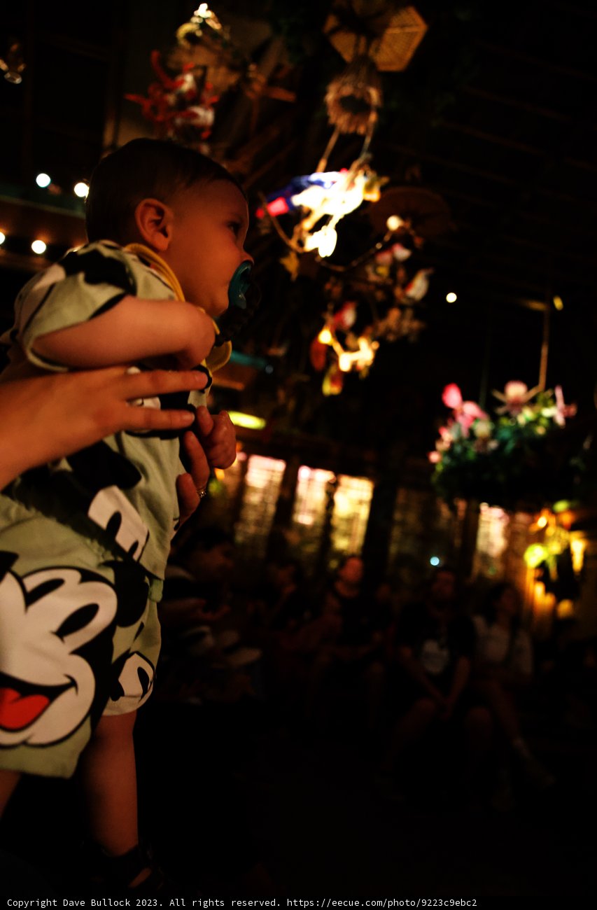 Magical Moments at Disneyland