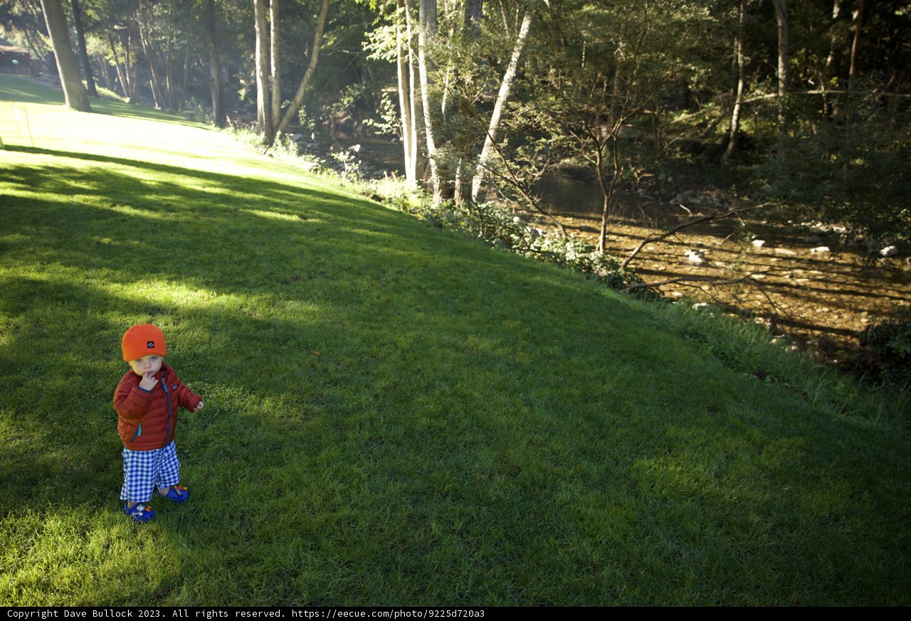 The Adventure Begins: A Young Explorer in Big Sur