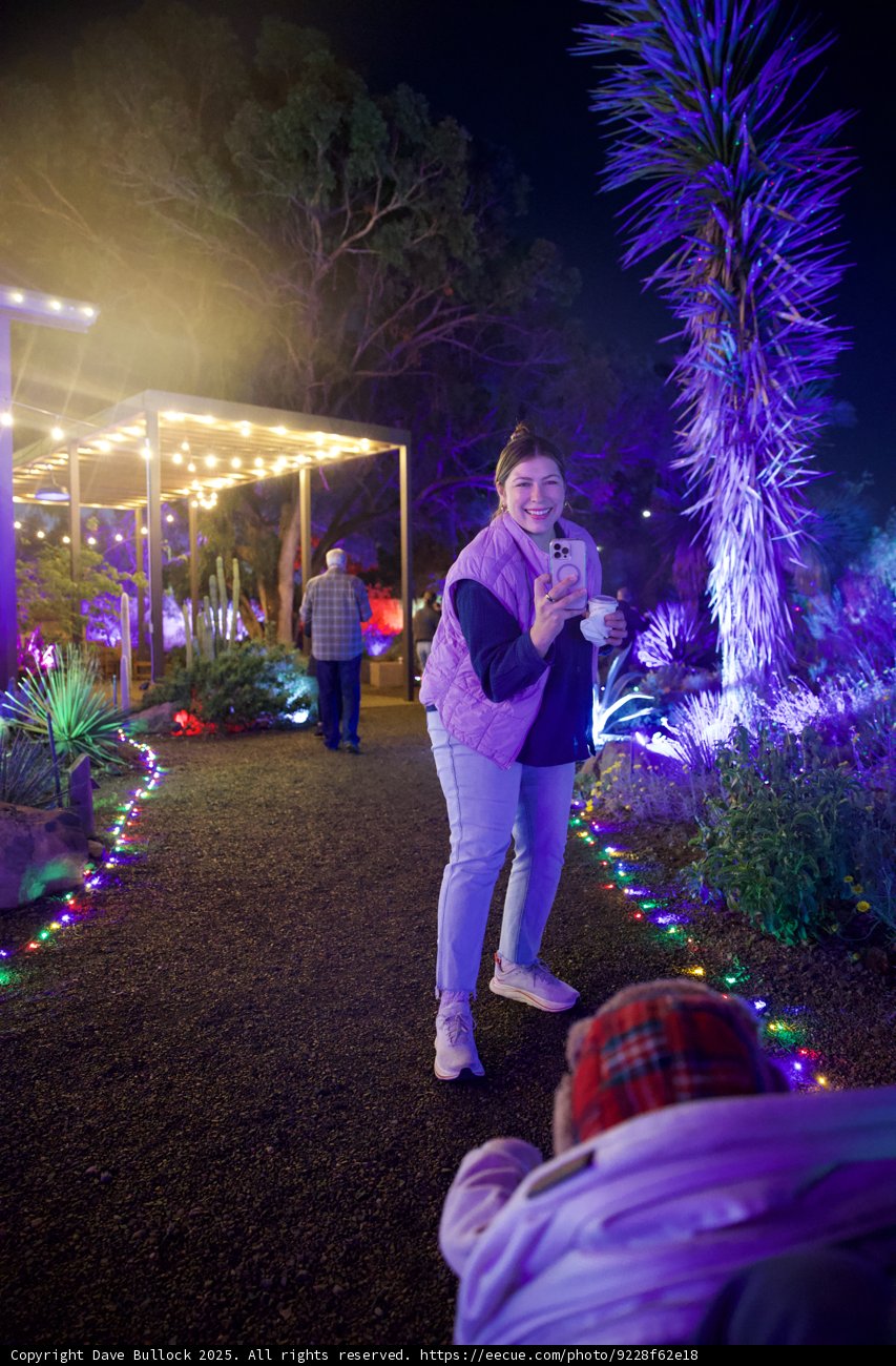 Enchanted Evening in Violet