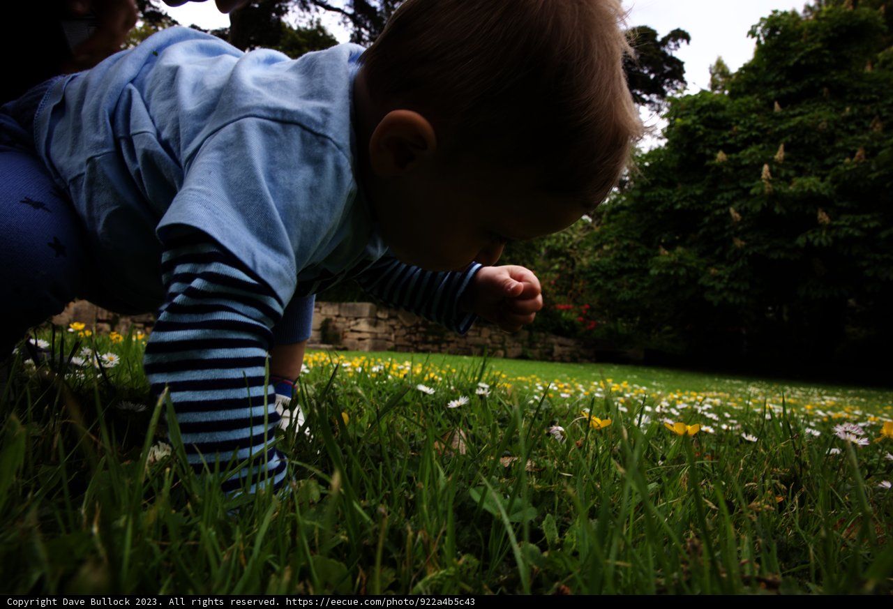 Baby's Day Out at the San Francisco Botanical Garden