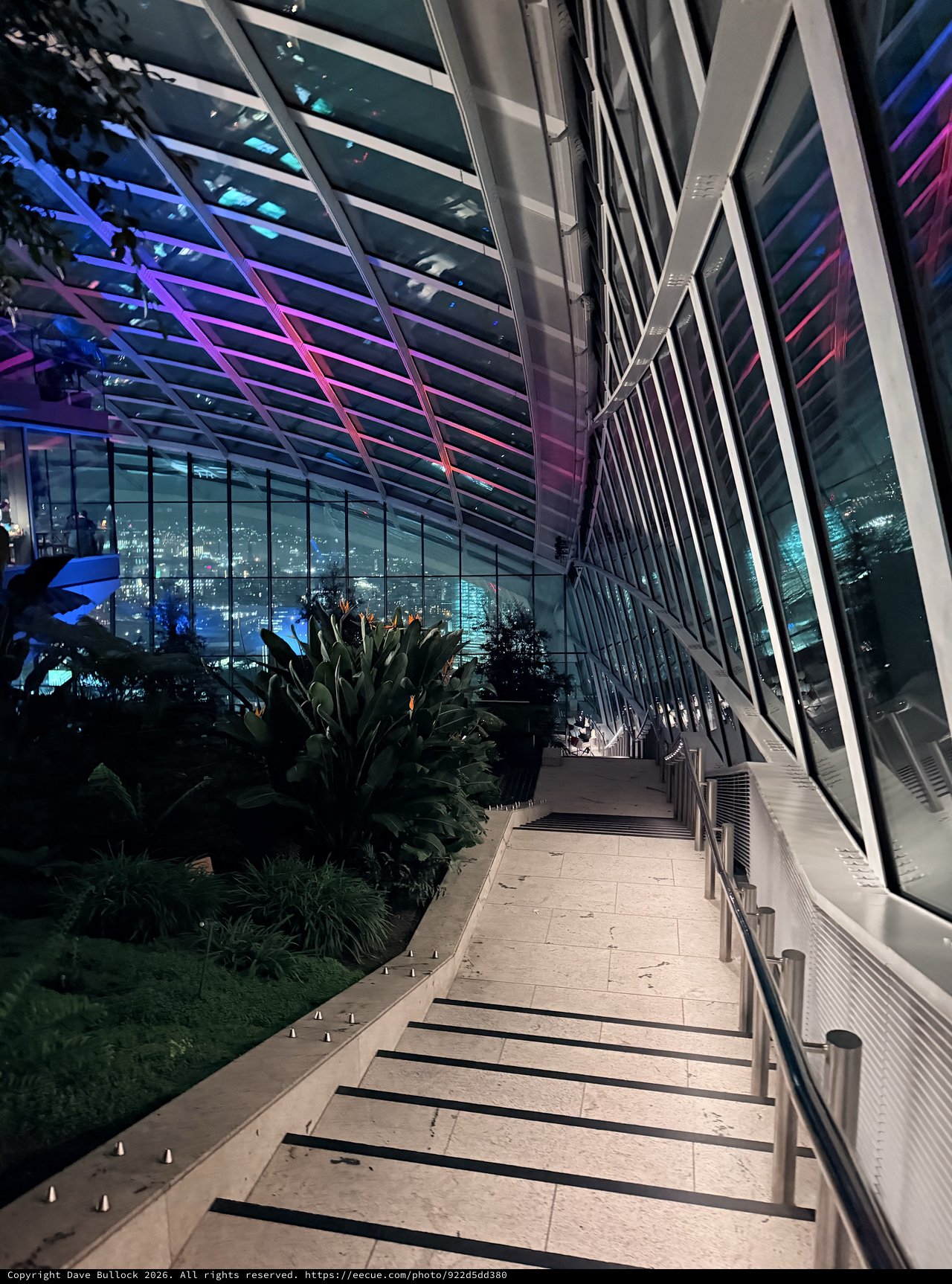 Modern Sky Garden Terrace with Dramatic Purple Lighting