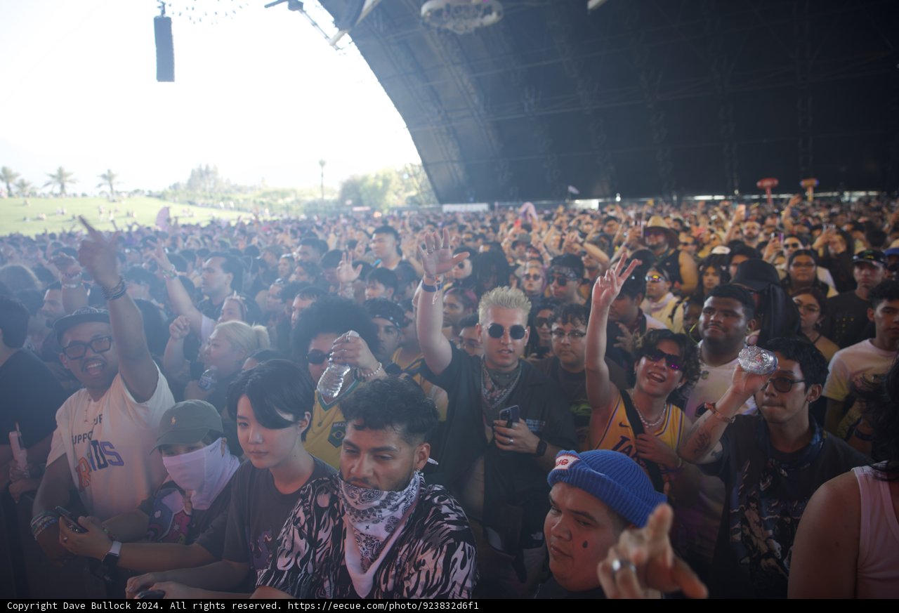 Vibrant Faces and Fashion at Coachella 2024