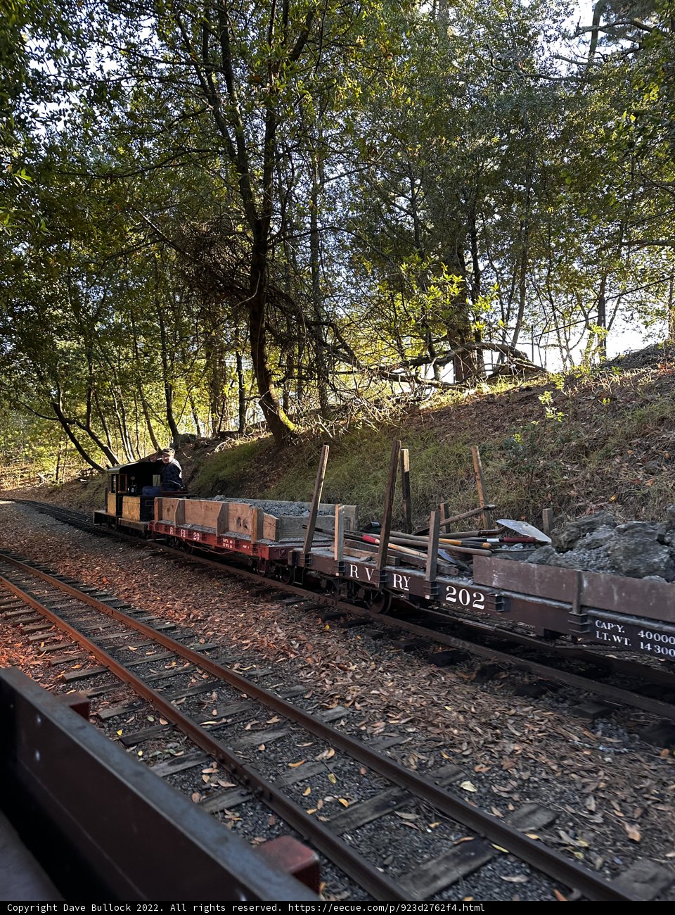 The Mighty Train in the Woods