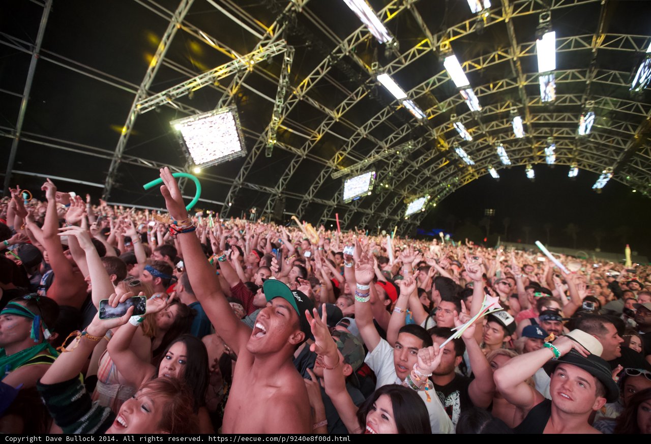 Music Fans Unite at Coachella