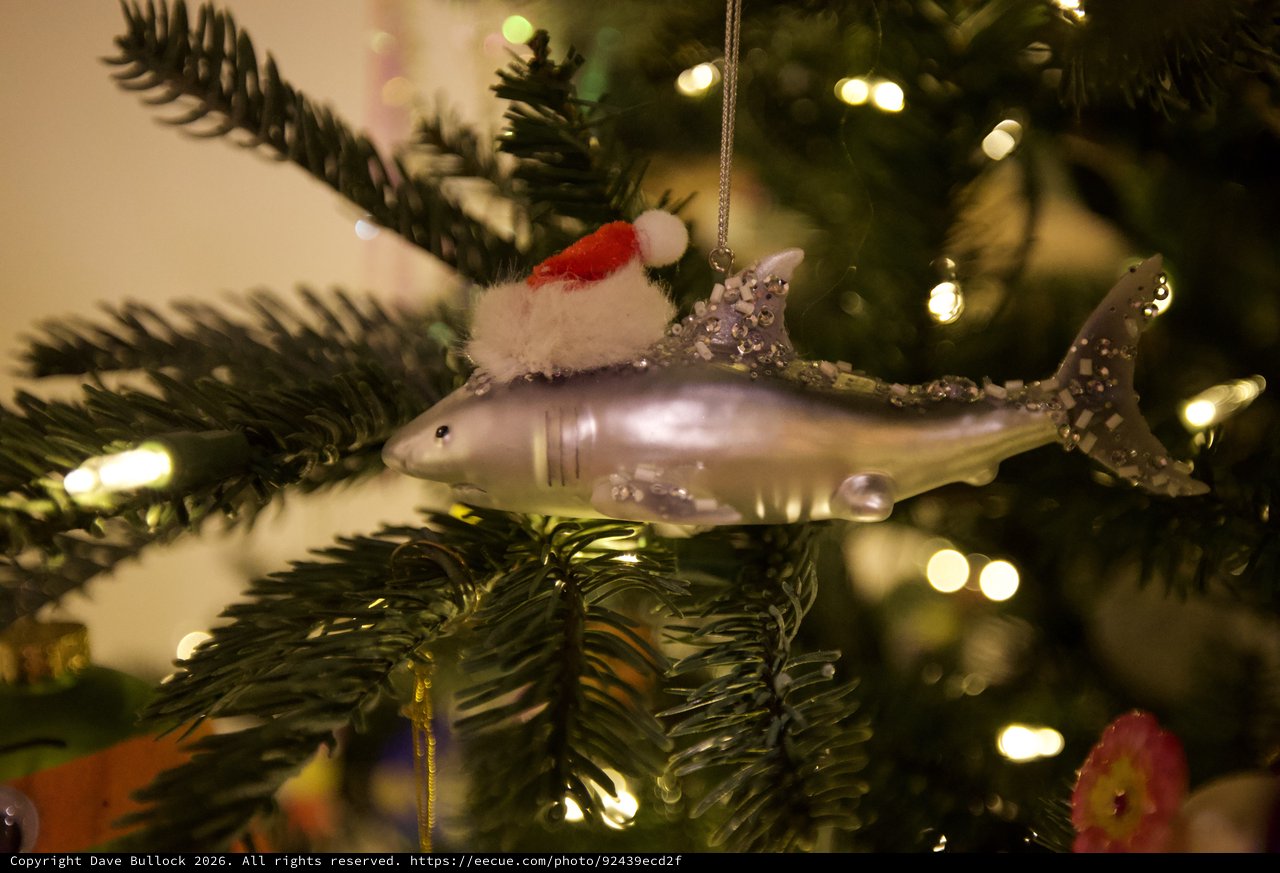 Festive Shark Christmas Ornament with Santa Hat