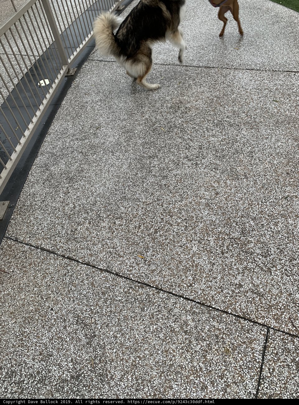 Playtime on a Concrete Path