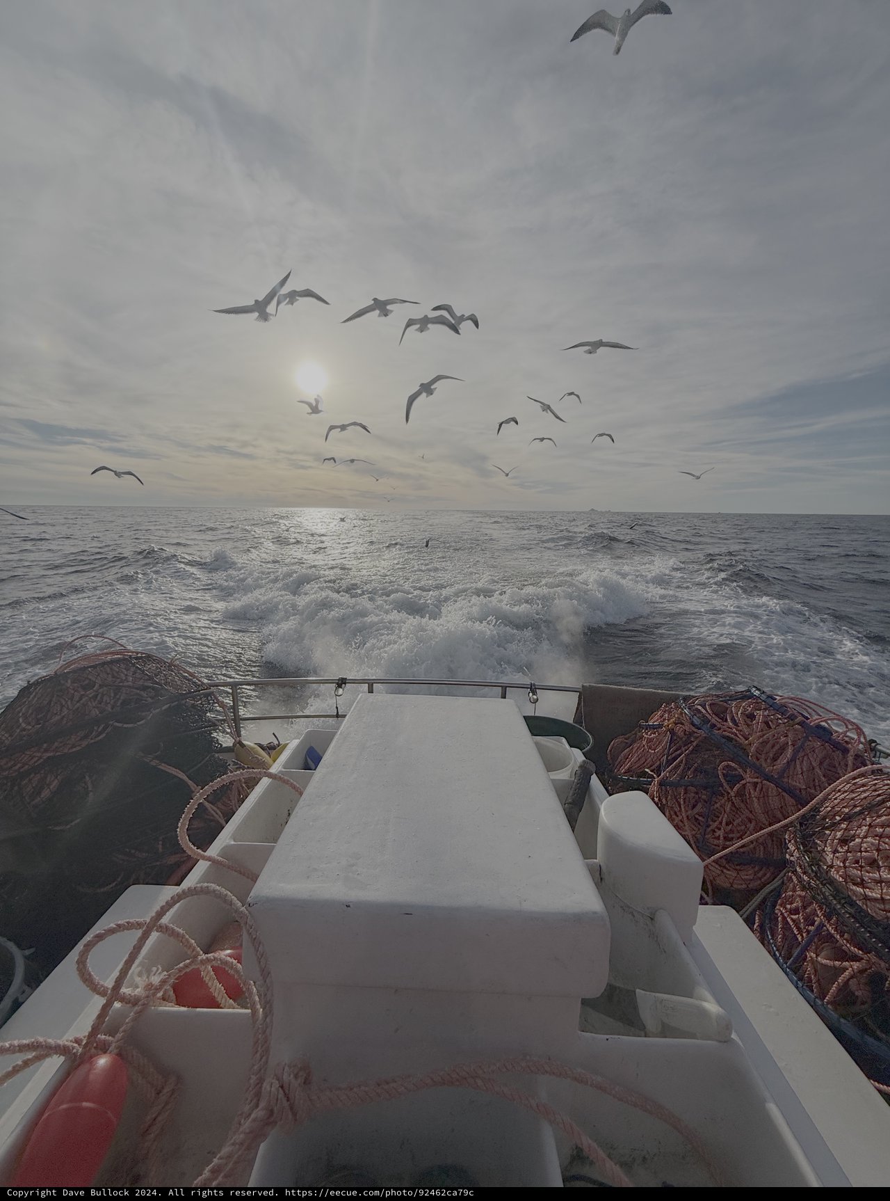 Fishing Boat Surrounded by Seagulls at Sea