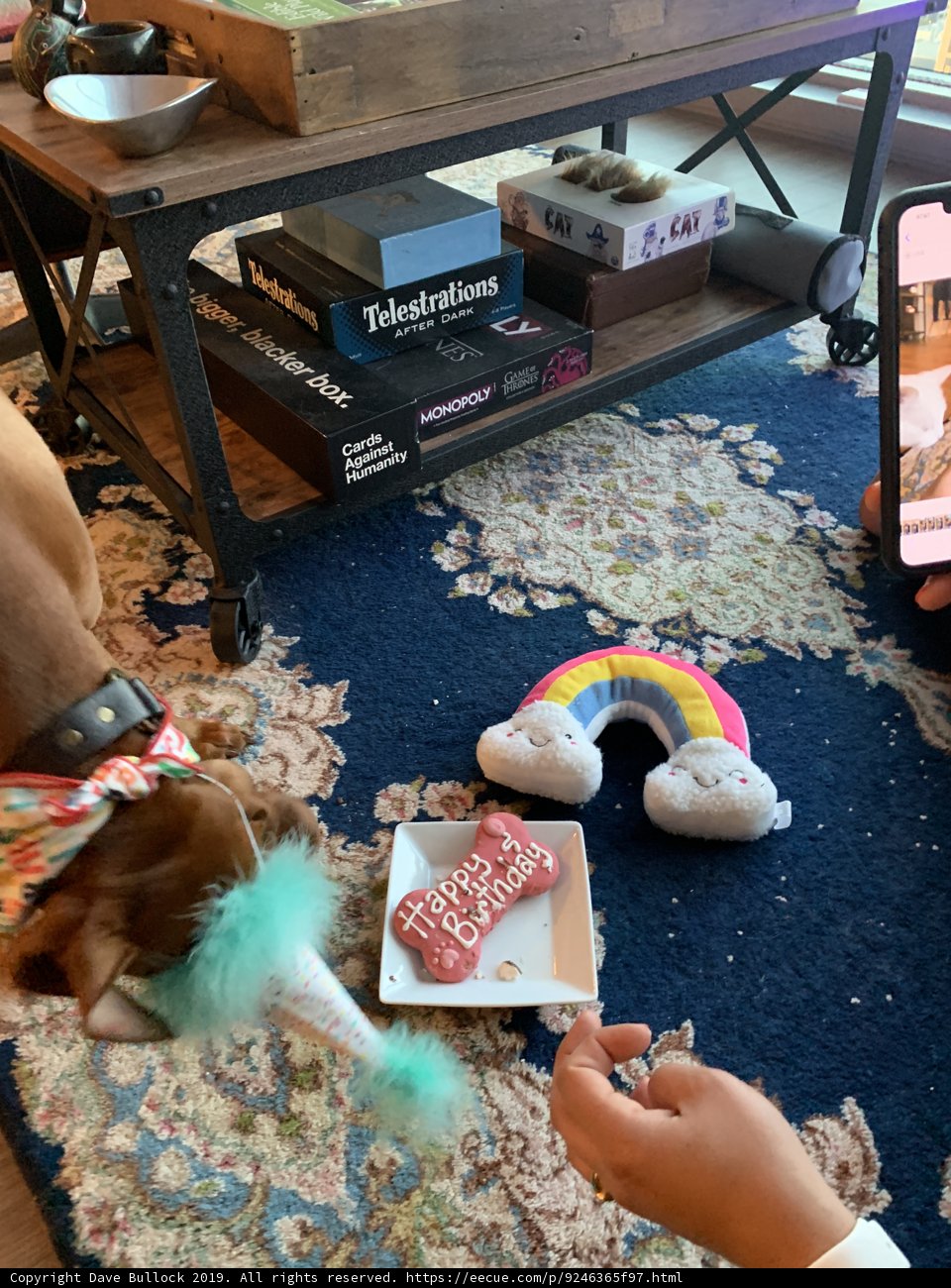 Tablet Time on the Living Room Rug