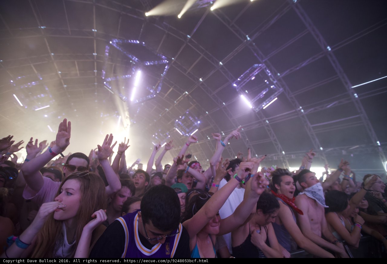 Coachella Chronicles: Hands Up in the Crowd