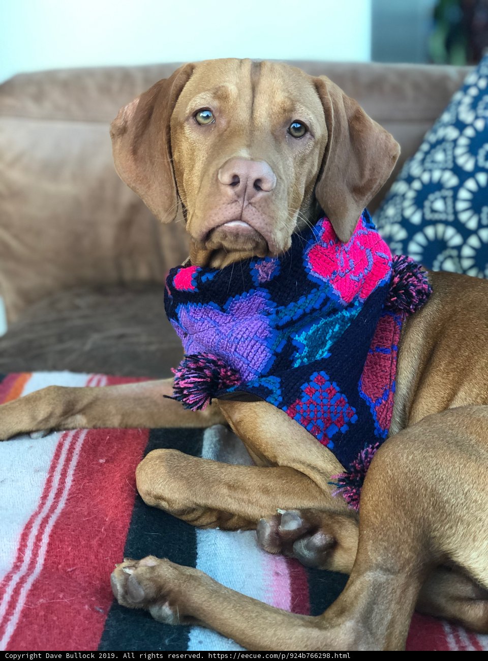 Colorful Scarf on the Couch
