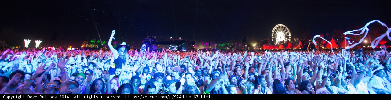 Coachella Crowd