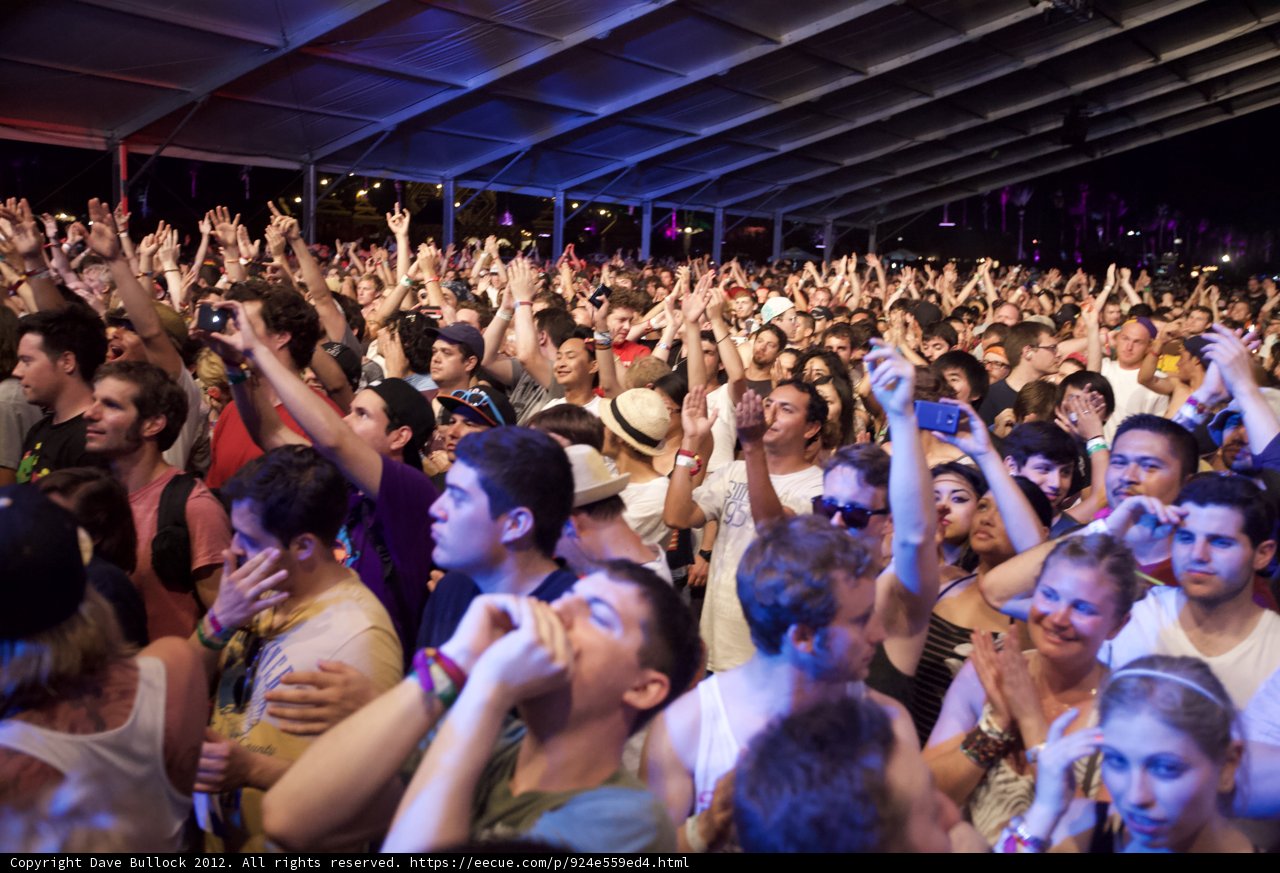 Coachella Crowd Frenzy