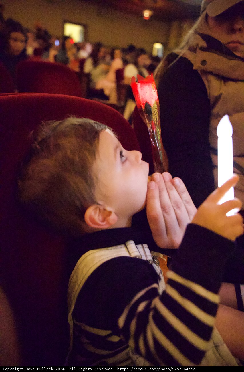Luminous Moments at the Castro Theatre, 2024