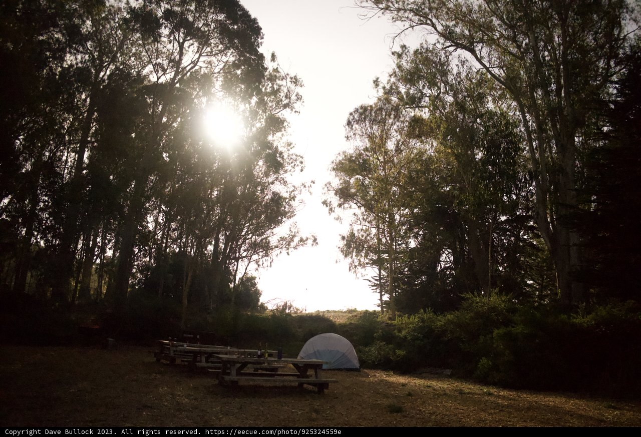 Embracing the Wilderness: First Camping Adventure in Presidio