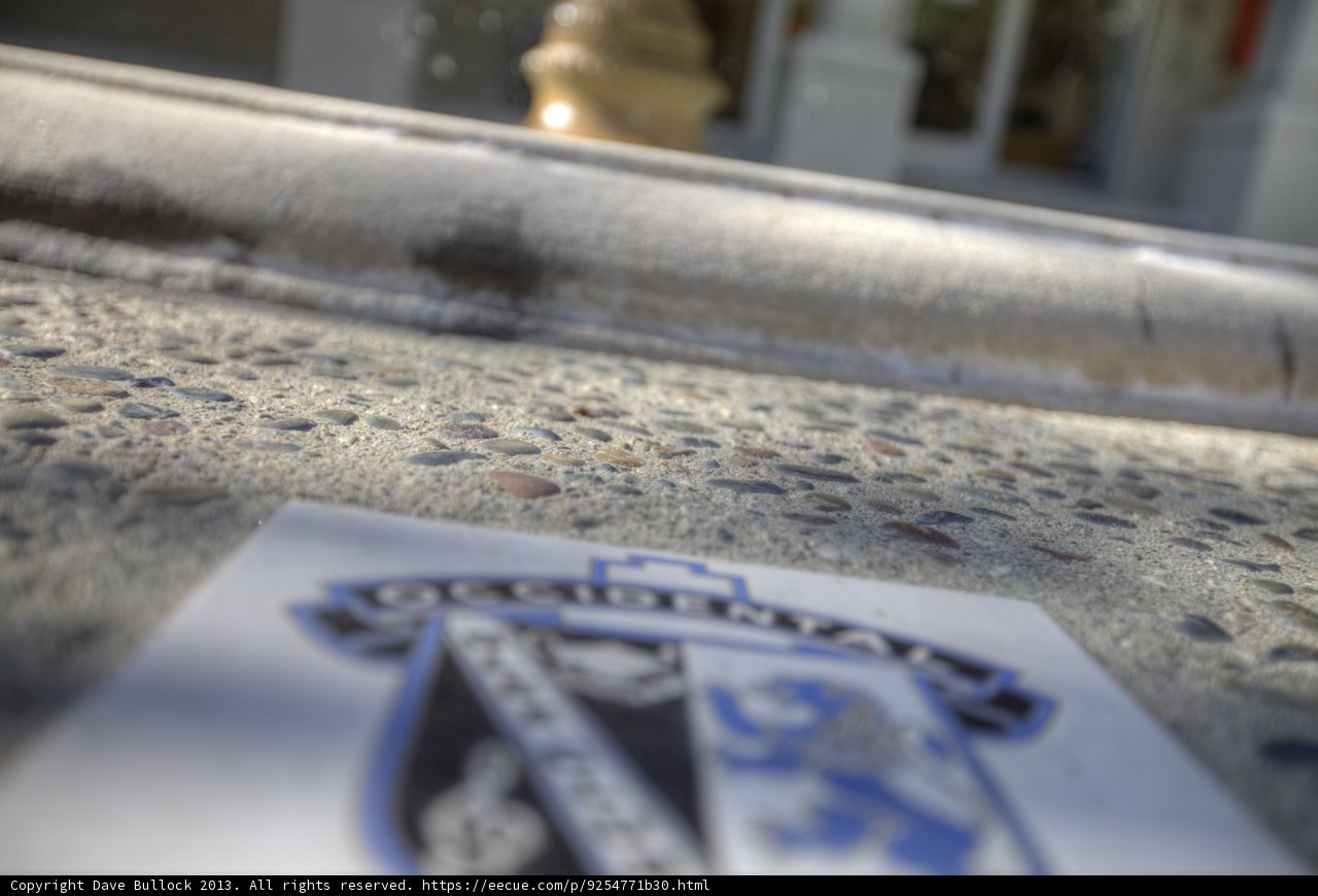 Blue and White Floor Sticker