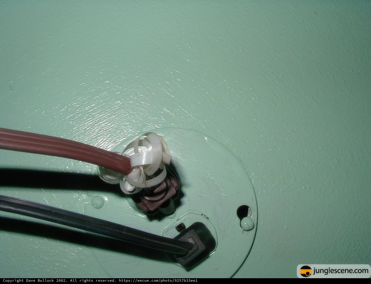 Wired and Plugged