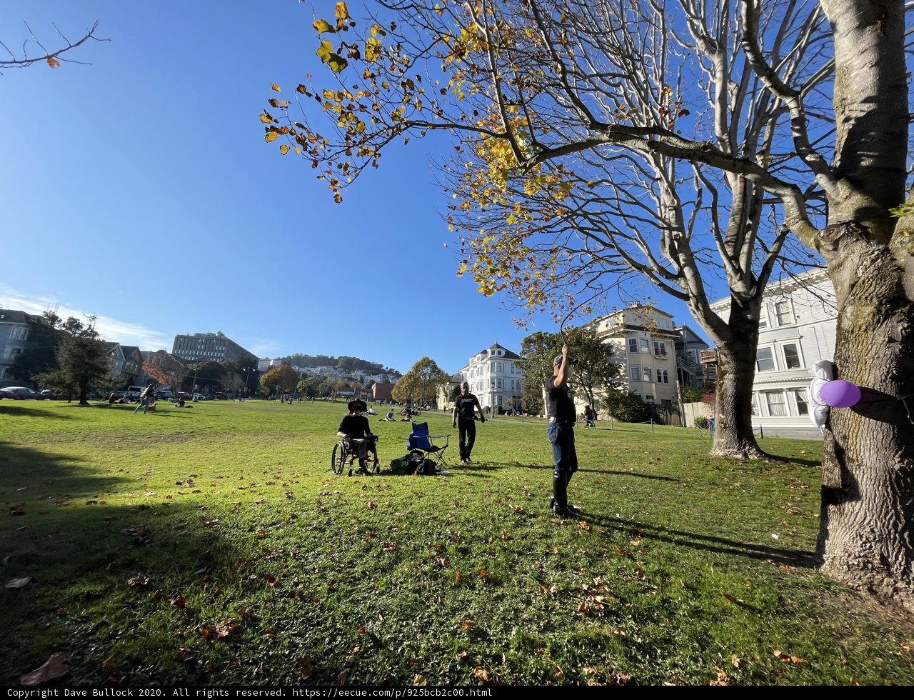 Trees and Balloons in Duboce Park