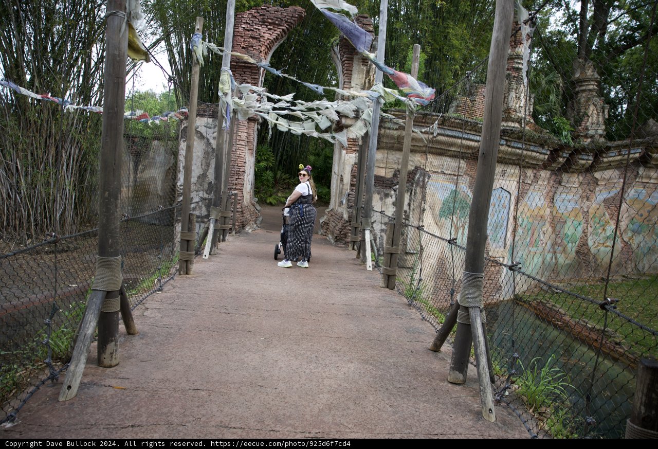 Strolling Through the Urban Oasis