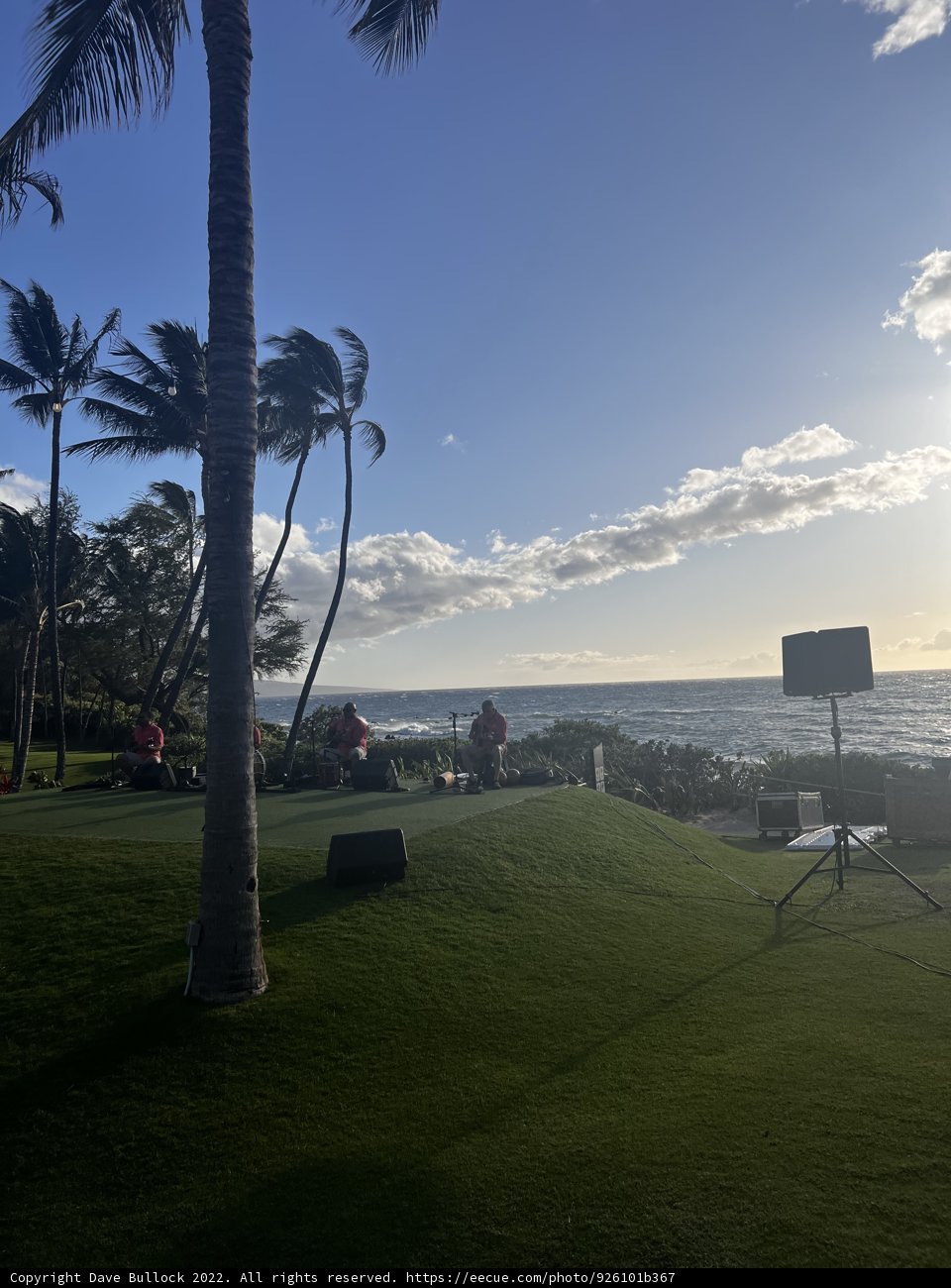 Tropical Paradise
