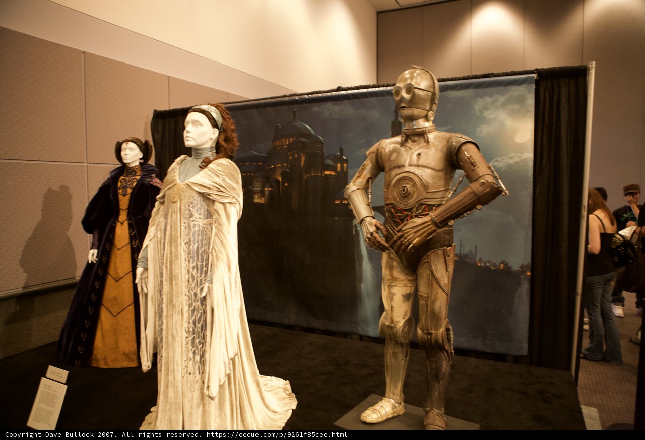 Star Wars Fans Unite: A Showcase of Cosplay