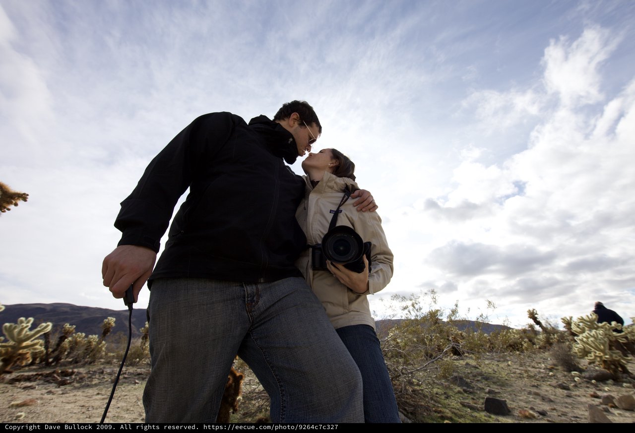 Desert Romance Among Cholla Cacti at Dusk