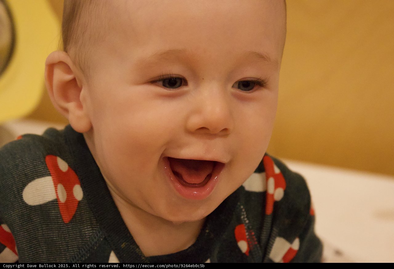 Joyful Moments