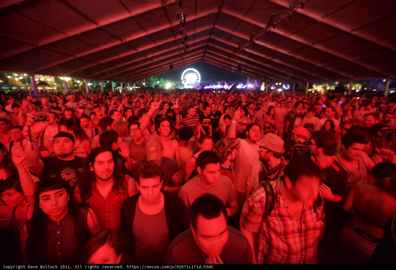 Coachella Crowd Madness