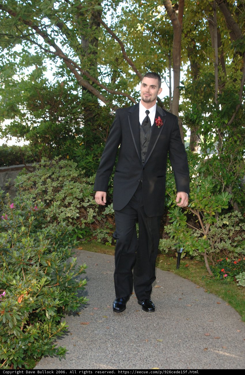 The Groom