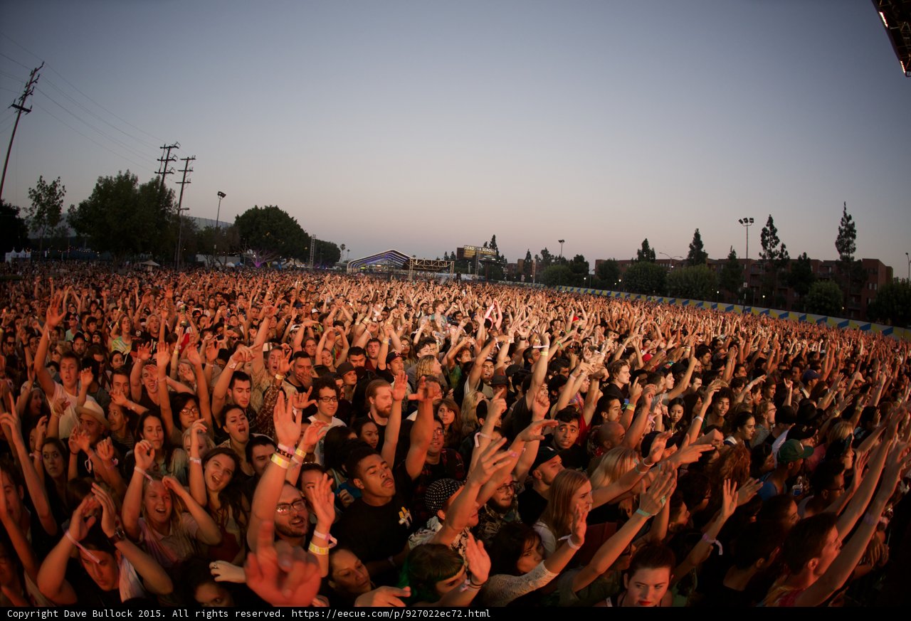 Orange Glow Crowd