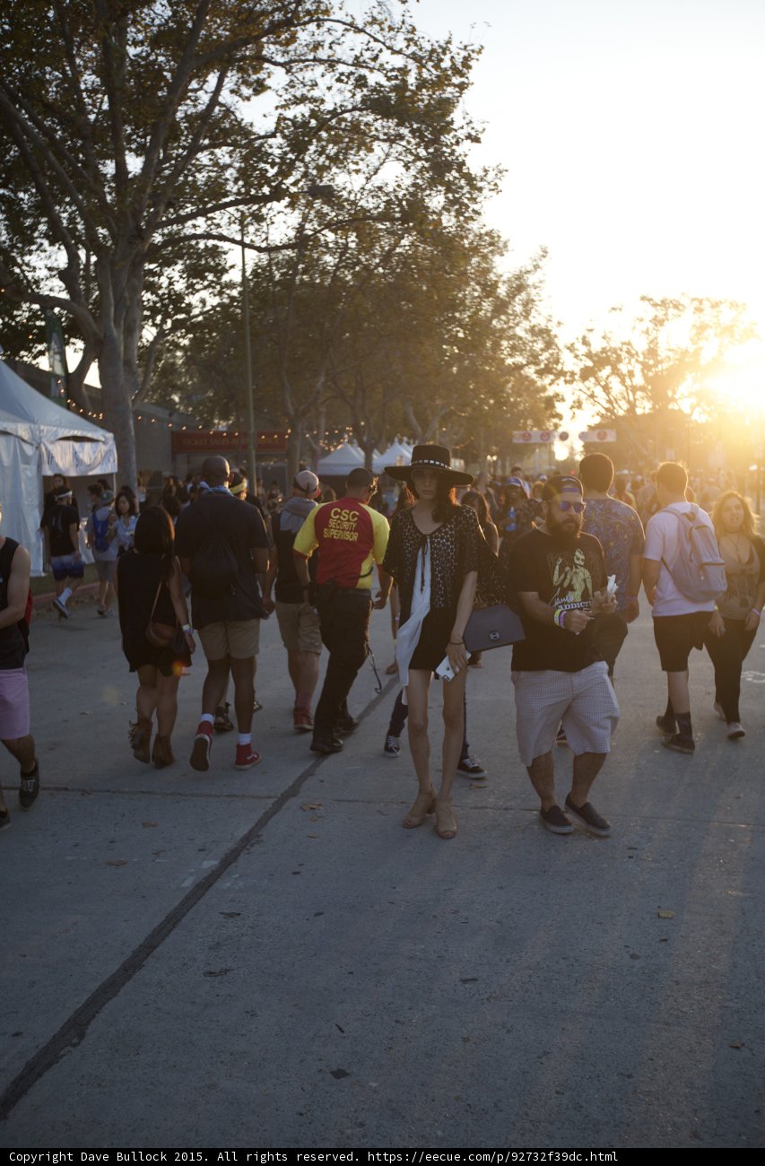 Festival Crowd at Sunset
