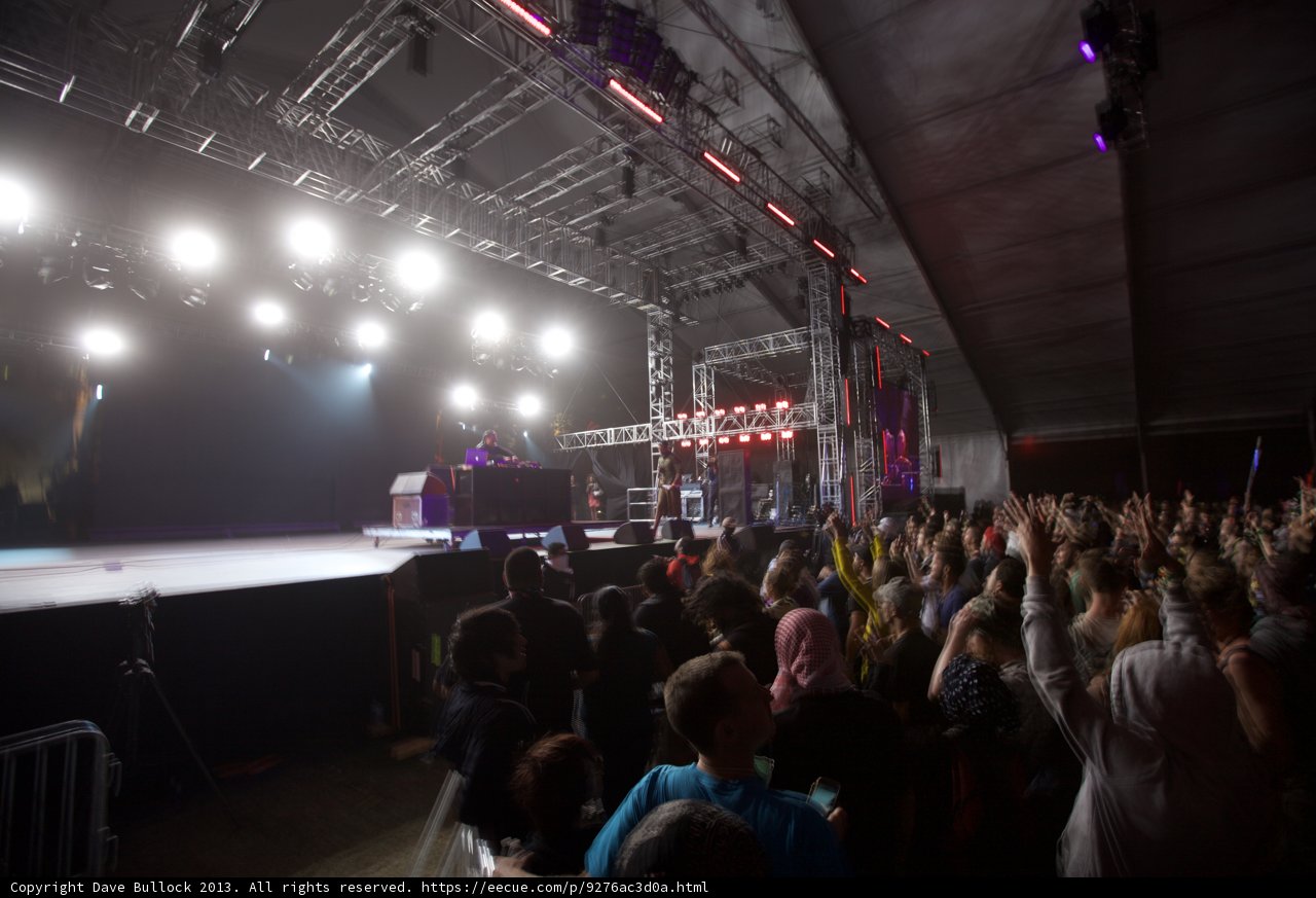 Spotlight on the Crowd: Rocking Out at Coachella