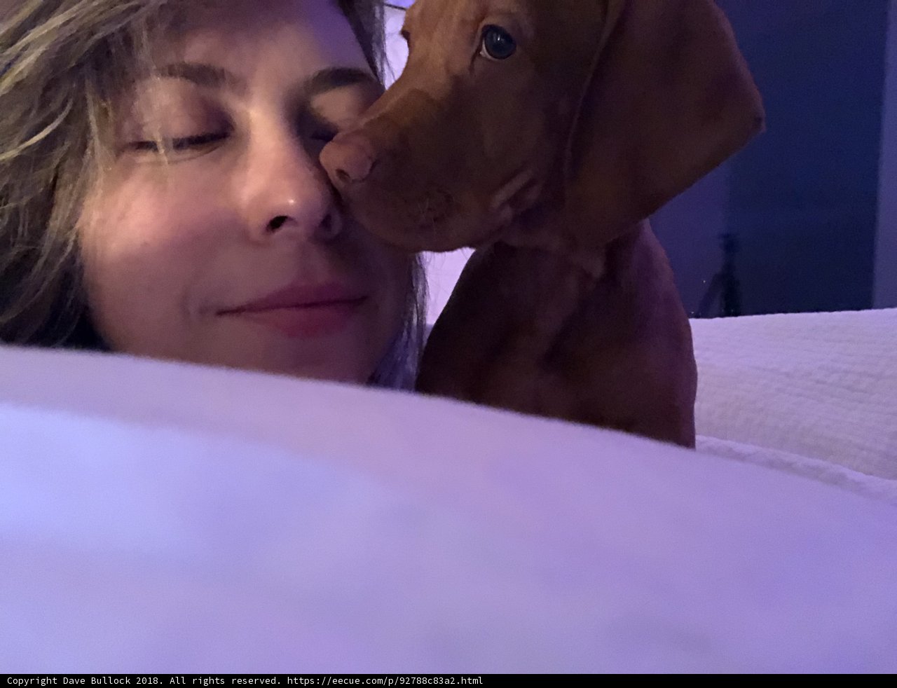 Beauty Sleep with My Furry Friend