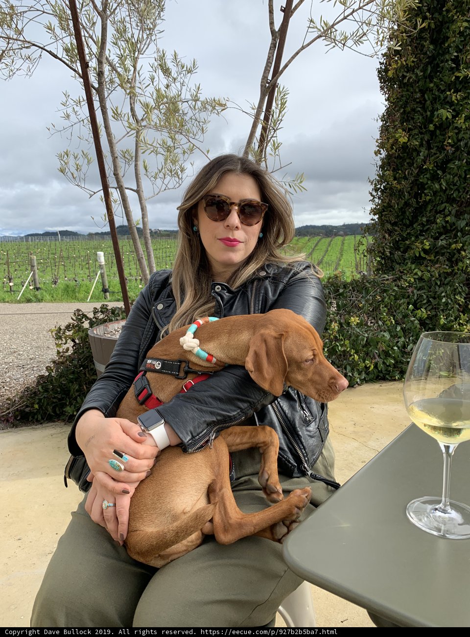 A Relaxing Afternoon with My Furry Companion