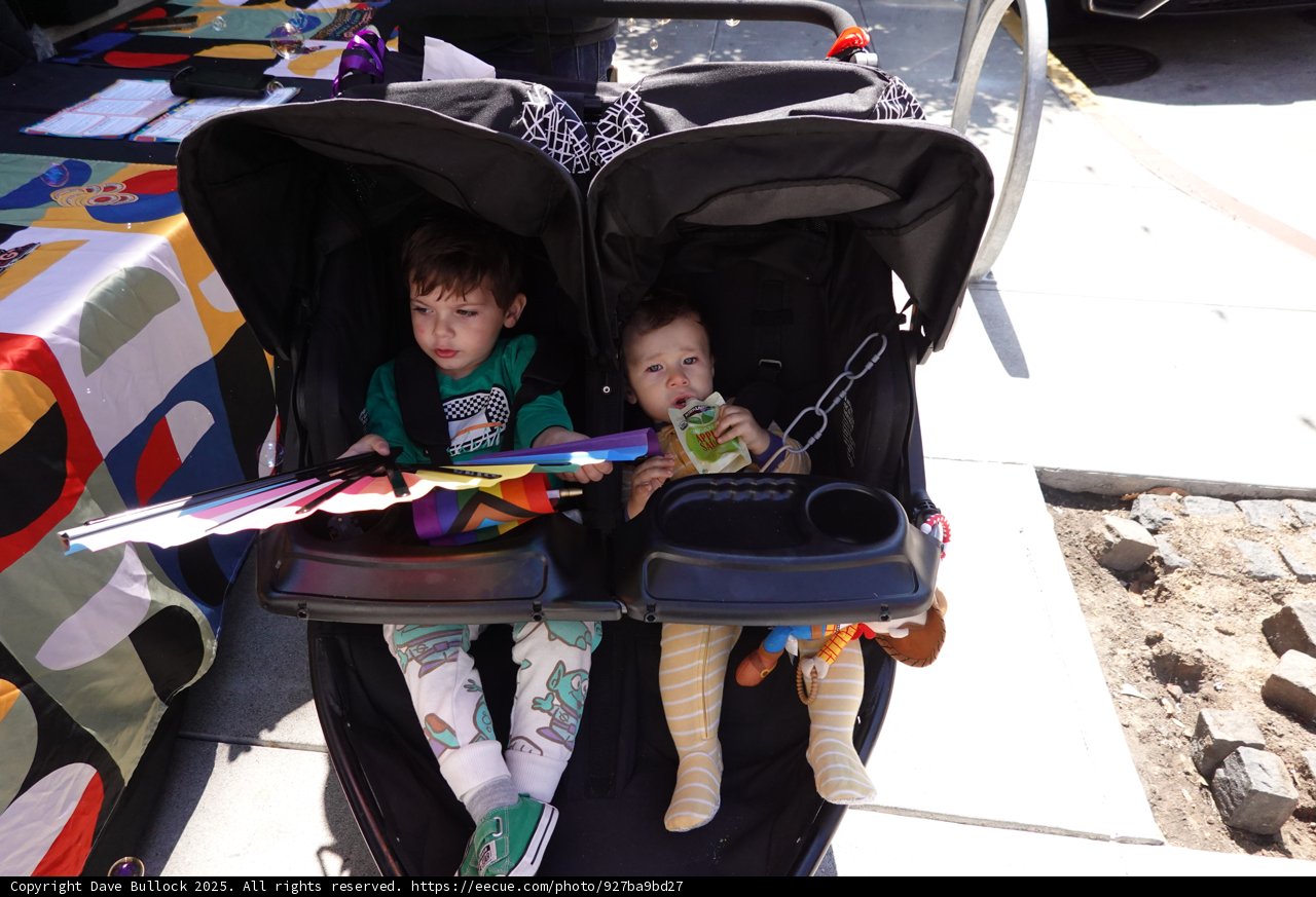 Adventure in the Double Stroller